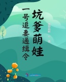 一号追妻通缉令：坑爹萌娃